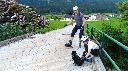 P_20190803_113843_SRES